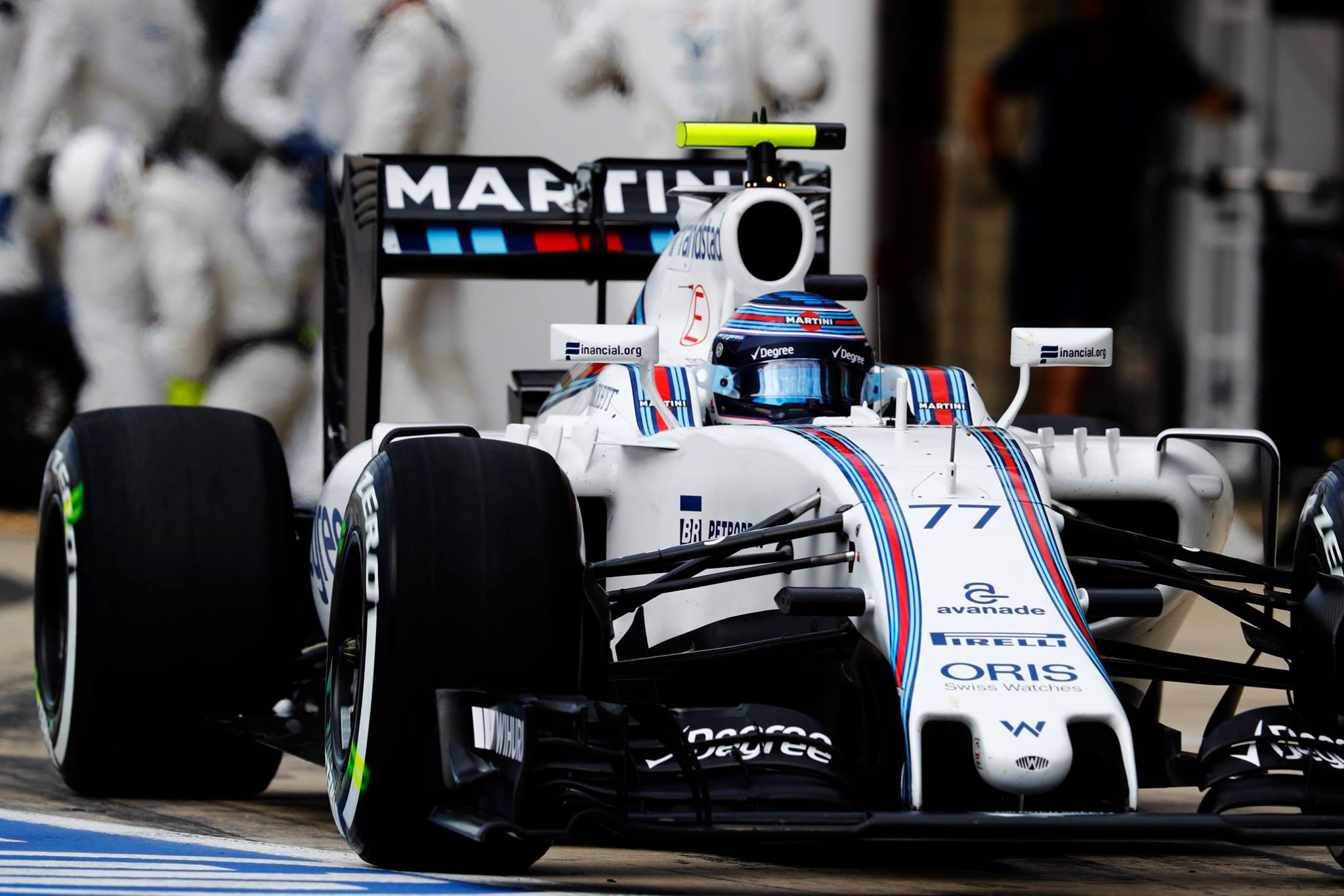 14700827_1651588238238490_220117326581022724_o